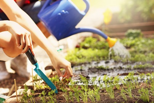A person working in a garden bed, planting young seedlings or plants with small green leaves in rich, dark soil. In the background, a blue watering can is seen pouring water onto the garden, indicating ongoing watering and plant care. The garden is part of an outdoor landscaped area, featuring neatly arranged rows of plants bordered by wooden stakes, with the soil appearing moist and well-maintained. The environment suggests a sunny day with natural lighting, highlighting the vibrant green of the plants and the healthy condition of the garden. This scene exemplifies gardening activities typical of a well-kept residential garden or outdoor space in Anerley, supporting professional lawn and garden care services offered by Lawn Mowing Anerley.