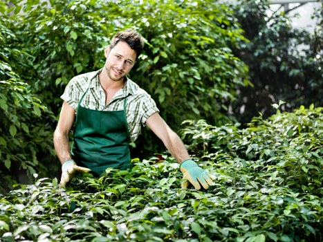Team member wearing PPE while trimming a lawn