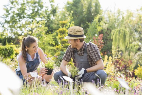 In a well-maintained garden, a young woman and a man are kneeling on a lush, green lawn surrounded by colorful flowering plants and various shrubbery. The woman, with long brown hair tied back, is holding a small potted plant, while the man, wearing a straw hat, casual checkered shirt, and gardening gloves, appears to be explaining or preparing to plant. Behind them, there are neatly clipped hedges, a tall tree with drooping branches, and a variety of vibrant flowering bushes, suggesting a professionally landscaped outdoor space in Anerley. The sunlight filters through the trees, creating a bright and welcoming atmosphere typical of a spring or summer day. The scene illustrates outdoor gardening activities, highlighting features such as the dense grass, flower beds with mixed blooms, and the garden's structured layout, all signifying a tidy, cared-for garden area suitable for maintenance and lawn care services provided by Lawn Mowing Anerley and other gardening professionals serving the local community.