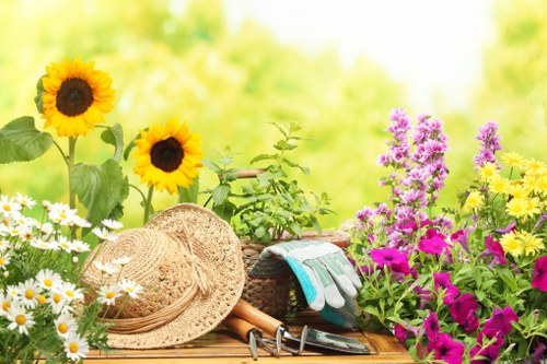 Professional lawn mowing service in Anerley